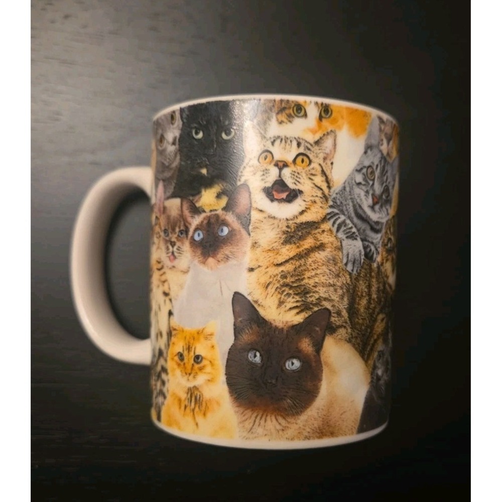 "Crazy Cat Lady Mug" By Gift Republic Never Used Cute Cats and Kittens